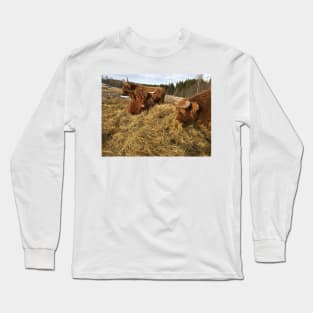 Scottish Highland Cattle Cows 2290 Long Sleeve T-Shirt